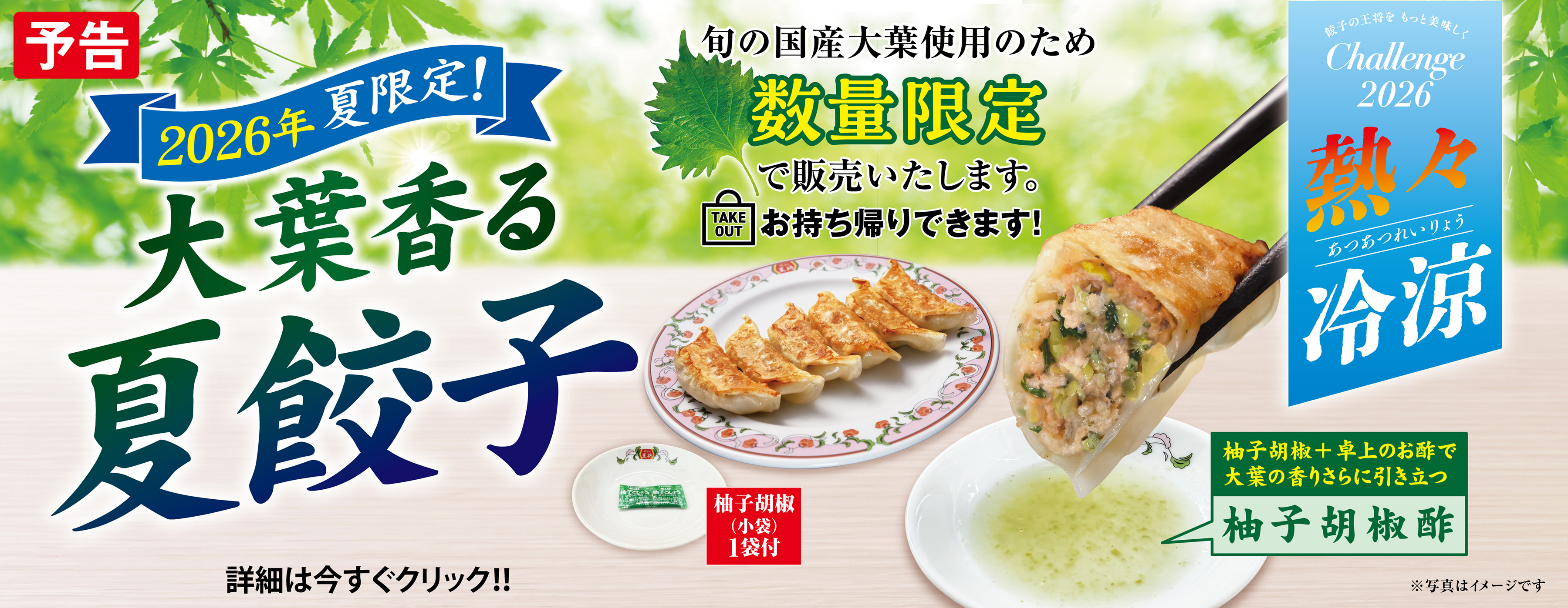 7月3日　季節限定「夏餃子」販売開始!!