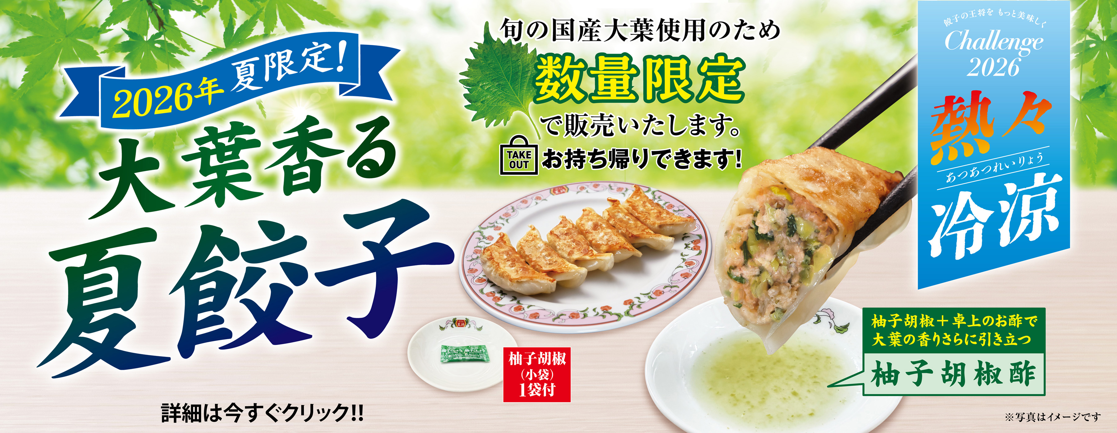 7月3日　季節限定「夏餃子」販売開始!!