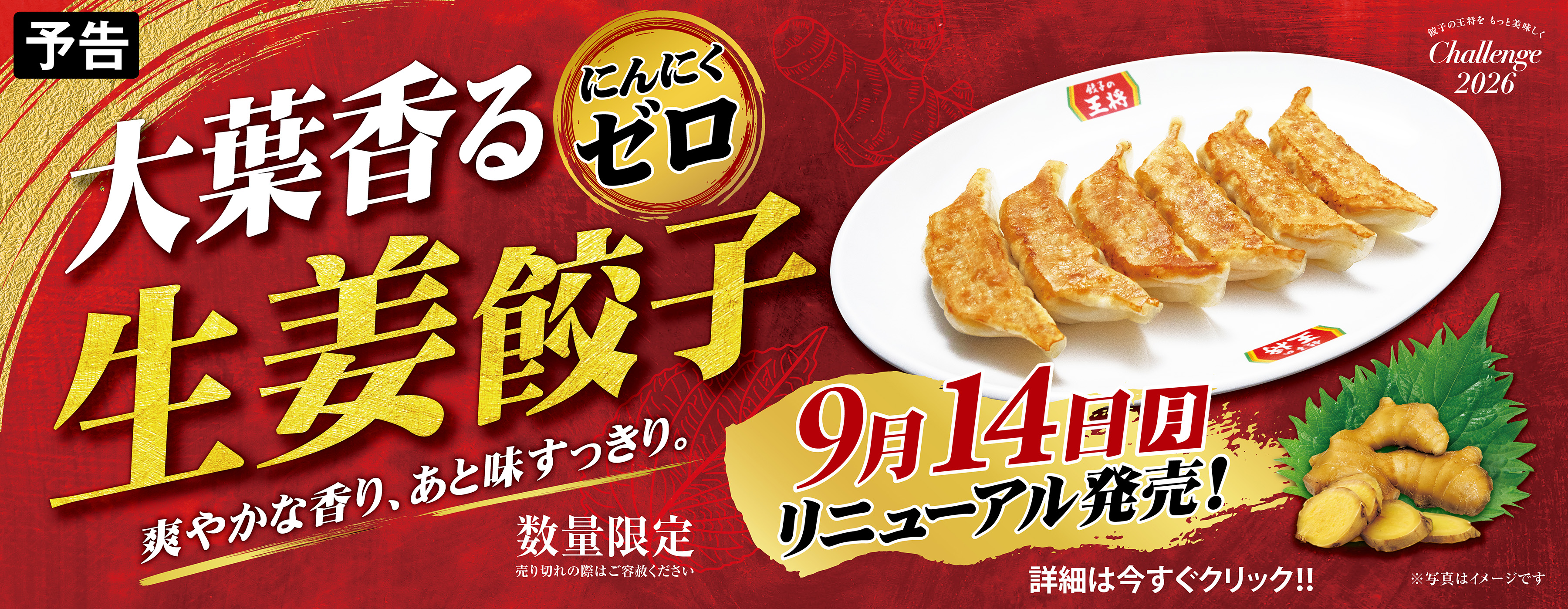 爽やかな新定番 !「にんにくゼロ生姜餃子」リニューアルのお知らせ