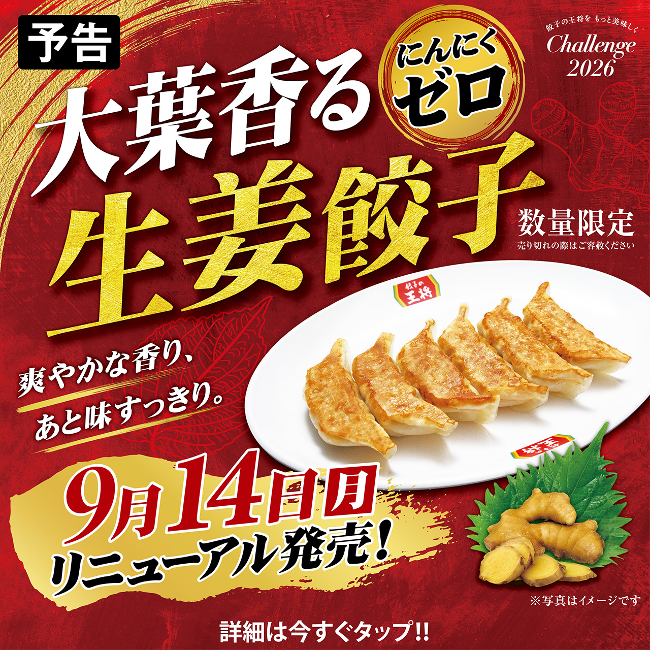 爽やかな新定番 !「にんにくゼロ生姜餃子」リニューアルのお知らせ
