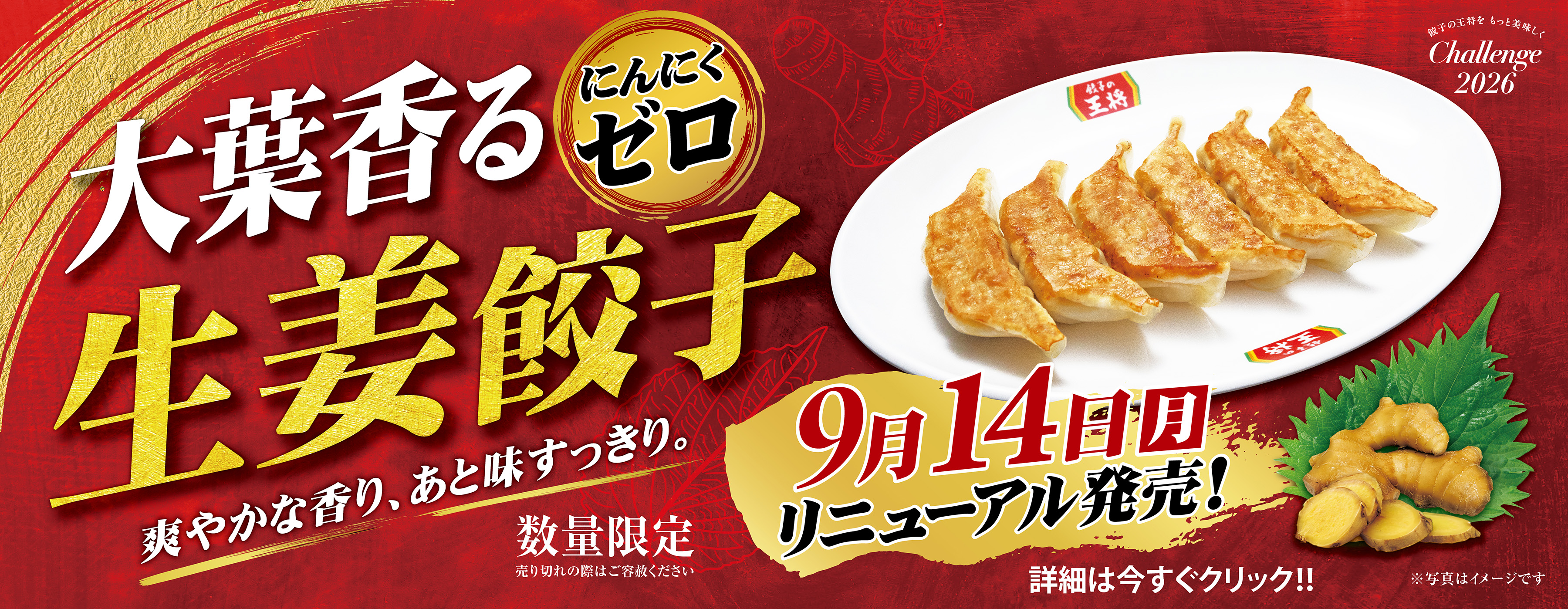 爽やかな新定番 !「にんにくゼロ生姜餃子」リニューアルのお知らせ