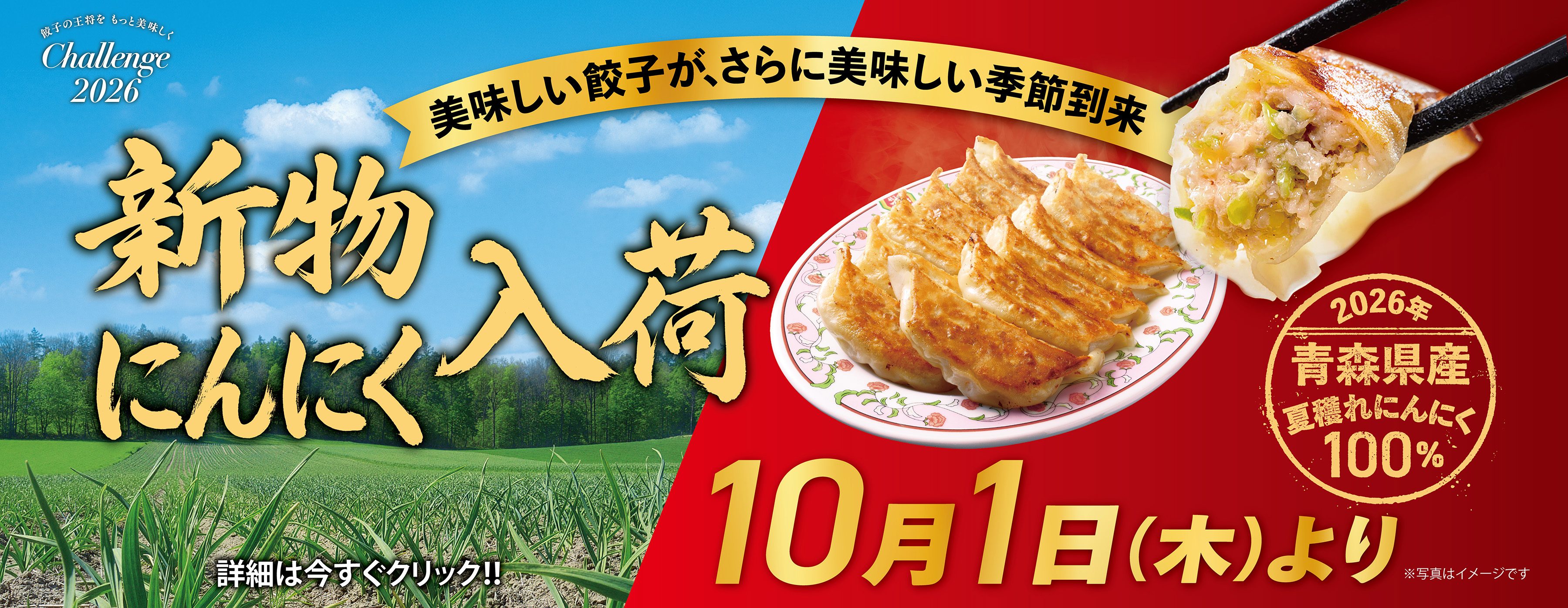 美味しい餃子がさらに美味しい季節到来!「新物にんにく」入荷のお知らせ