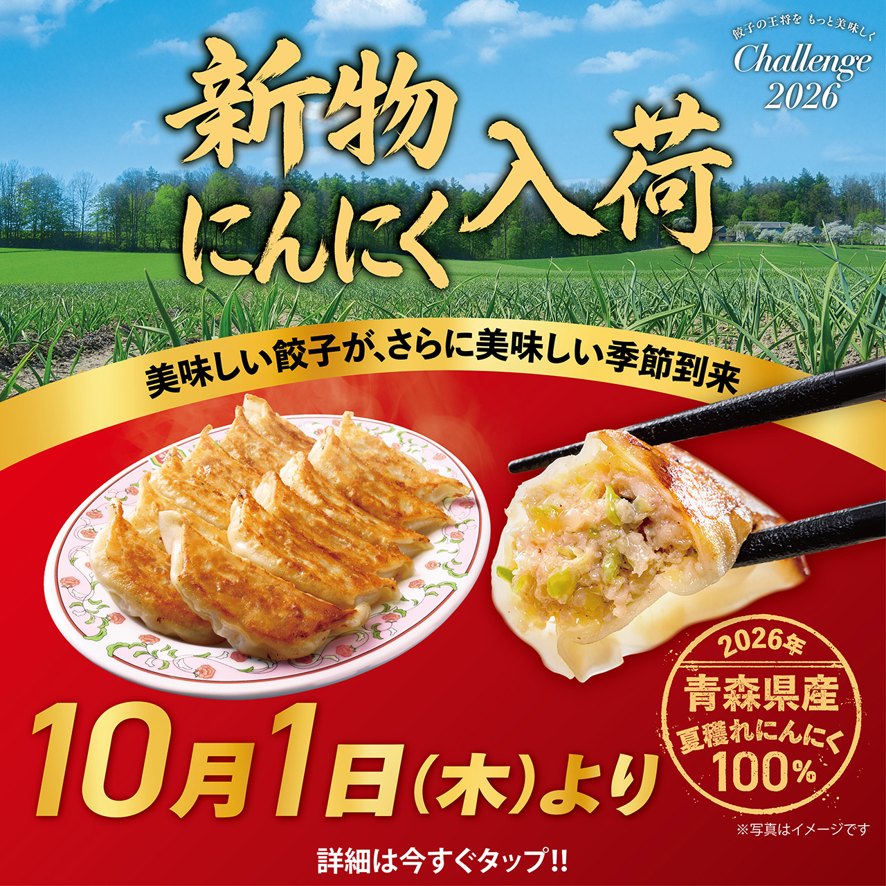 美味しい餃子がさらに美味しい季節到来!「新物にんにく」入荷のお知らせ